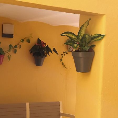 Rcbcaleros Apartment Caceres Luaran gambar