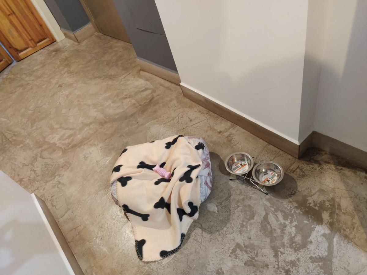 Rcbcaleros Apartment Caceres Luaran gambar