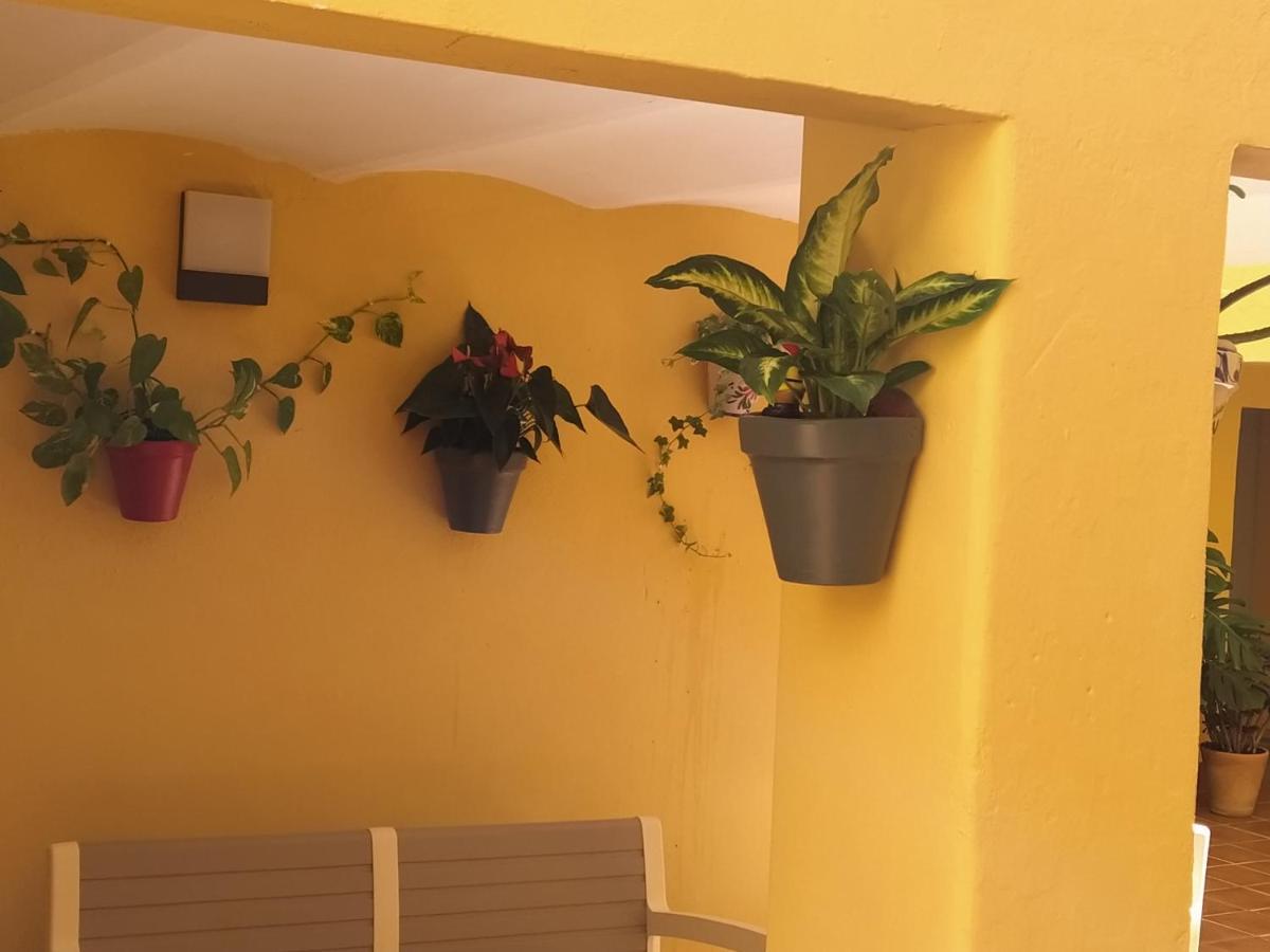Rcbcaleros Apartment Caceres Luaran gambar