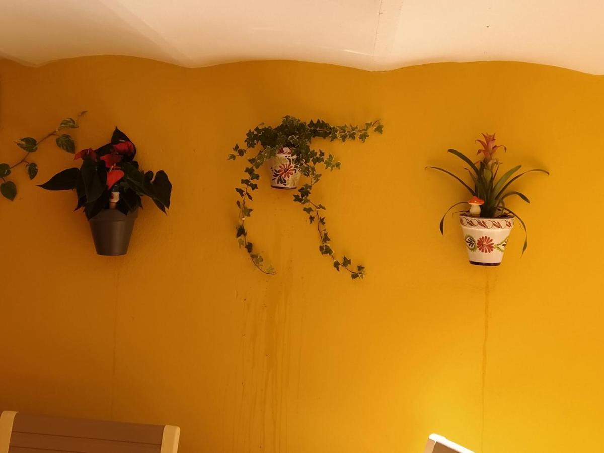 Rcbcaleros Apartment Caceres Luaran gambar